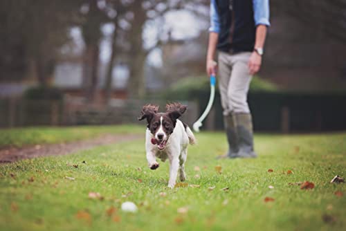 ChuckIt! Dog Fetch Ball Medley Trio, Small, 3 Pack