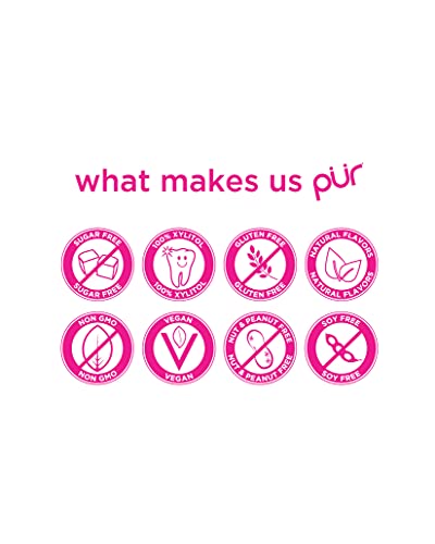 PUR Gum | Sugar Free Chewing Gum | 100% Xylitol | Vegan, Aspartame Free, Gluten Free and Keto Friendly | Natural Pomegranate Mint Flavored Gum, 9 Pieces (Pack of 12)