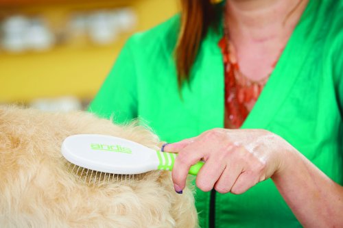 Andis Pet Large Pin Brush (65720), Green/White