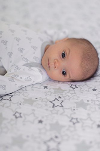Sterling, Small, 3-6 Months SwaddleDesigns Softest Cotton Baby Gown with Foldover Mitten Cuffs for Infant Boy and Girl, Tiny Foxes