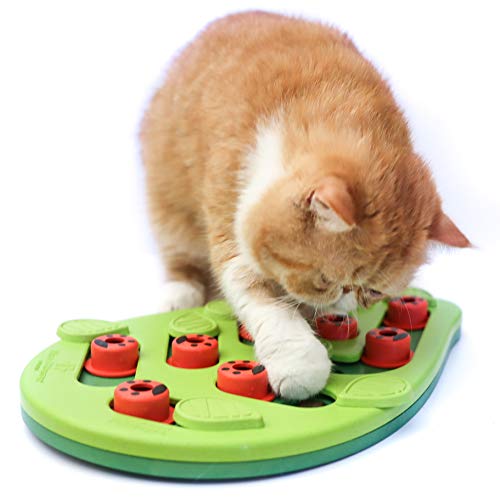 Petstages Nina Ottosson Buggin' Out Puzzle and Play - Interactive Cat Treat Puzzle