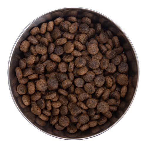 Health Extension Dry Dog Food, Natural Food with Added Vitamins and Minerals, Suitable for All Puppies, Include Buffalo and Whitefish Recipe with Whole Vegetable and Berries (4 Pound)