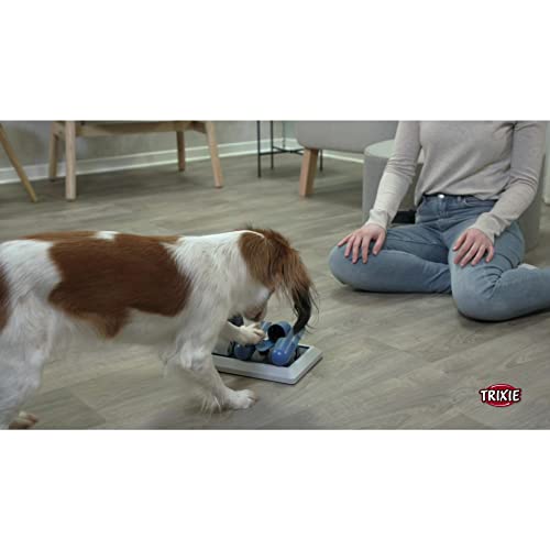 TRIXIE Dog Activity Vario 2 Poker Box, Level 2 Strategy Game, Treat Dispenser, Dog Puzzle, All Breed Sizes