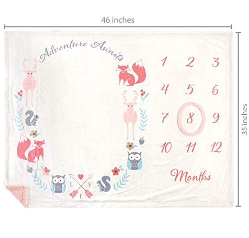 Hudson Baby Unisex Baby Plush Holiday and Milestone Blanket, Girl Adventure Awaits, One Size