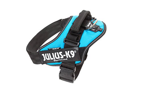 IDC Powerharness, Size: XL/2, Aquamarine