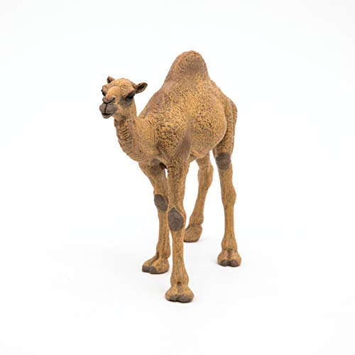 Papo -Hand-Painted - Figurine -Wild Animal Kingdom - Dromedary -50151 -Collectible - for Children - Suitable for Boys and Girls- from 3 Years Old