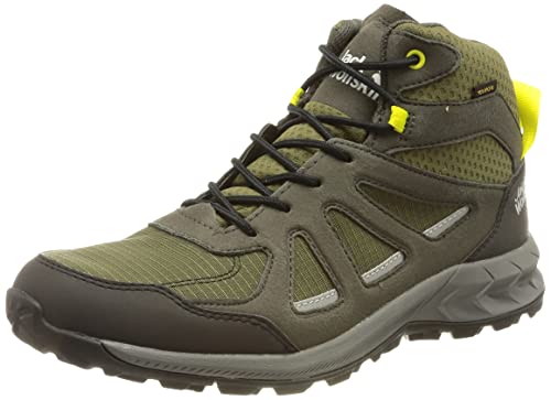 Jack Wolfskin mens Woodland 2 Texapore Mid M Hiking Shoe, Khaki/Green, 10 US