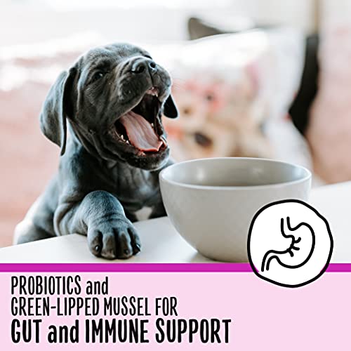 SmartyPants Dog Vitamins and Supplements, Multivitamin with Glucosamine, Chondroitin, and Probiotics for Joint, Skin, and Gut Support, Peanut Butter Flavor, 60 Soft Chews by SmartyPaws