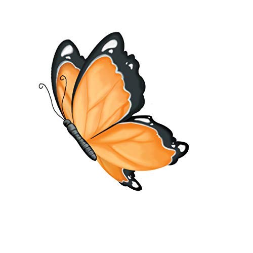 Creativity for Kids Grow 'N Glow Terrarium Kit for Kids - Science Activities for Ages 5-8+, Craft Kits and Creative Gifts for Kids