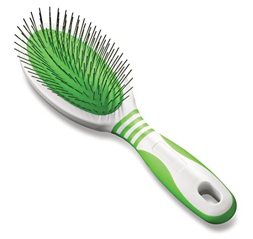 Andis Pet Large Pin Brush (65720), Green/White