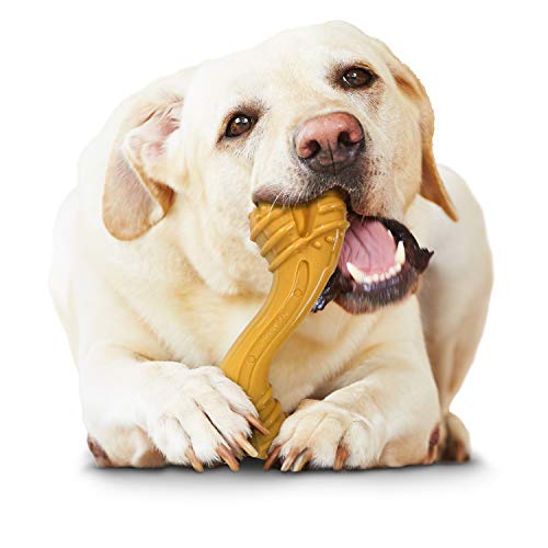 Nylabone Dog Toy Power Chew Dog Toy for Aggressive Chewers - Curvy Bone Dog Toy - Peanut Butter Large/Giant (1 Count)