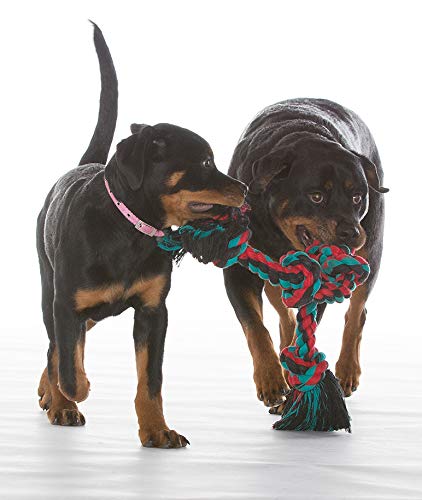 Mammoth Flossy Chews Color Rope Tug – Premium Cotton-Poly Tug Toy for Dogs – Interactive Dog Rope Toy – Tug Dog Chew Toy