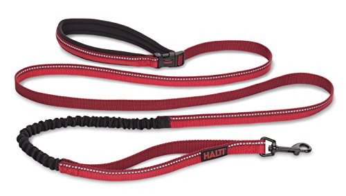 The Company of Animals - HaltB007LS6QRKi All-In-One Lead (6' 6'), Large, Red (HA034)