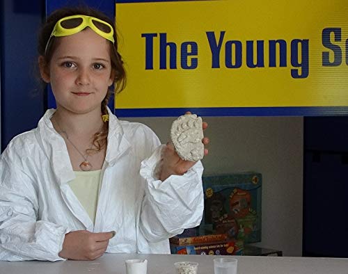 The Magic School Bus Rides Again: Exploring the Wonders of Nature By Horizon Group USA, Homeschool STEM Kits, Includes Educational Manual, Butterfly Net, Scavenger Hunt, Plaster, Game Cards and More