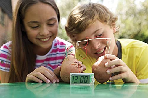 4M Potato Clock DIY Green Science Chemistry Engineering Lab - STEM Toys Educational Gift for Kids and Teens, Girls and Boys, Brown