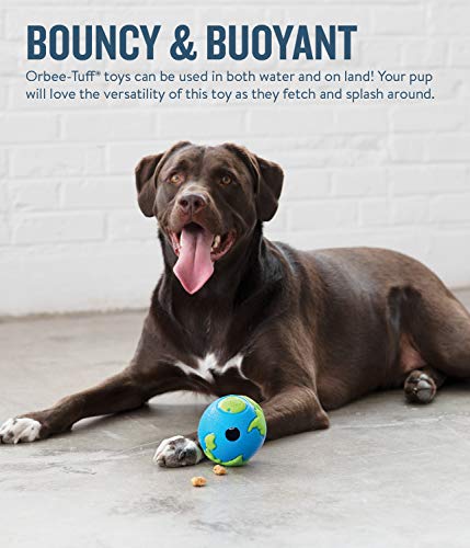 Planet Dog Orbee-Tuff Planet Ball Blue/Green Treat-Dispensing Dog Toy, Large