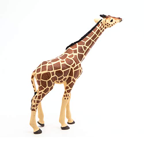 Papo -Hand-Painted - Figurine -Wild Animal Kingdom - Head Raised Giraffe -50236 -Collectible - for Children - Suitable for Boys and Girls- from 3 Years Old