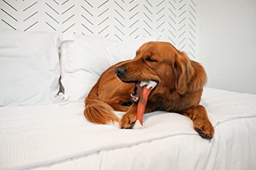Nylabone Femur Bone Rawhide Alternative Power Chew Durable Dog Toy Femur Rawhide Large/Giant (1 Count)