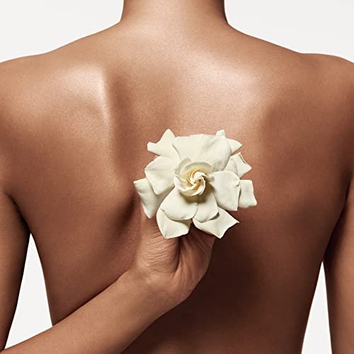 Donna Karan Cashmere Mist Eau de Toilette Perfume Spray For Women, 1.0 Fl. Oz.