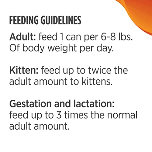 Nulo Freestyle Cat and Kitten Wet Pate Canned Cat Food, Premium All Natural Grain-Free, with 5 High Animal-Based Proteins and Vitamins to Support a Healthy Immune System and Lifestyle(Pack of 12)