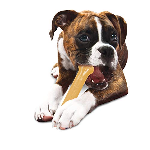 Nylabone Power Chew Durable Dog Toy Original Large/Giant (1 Count)