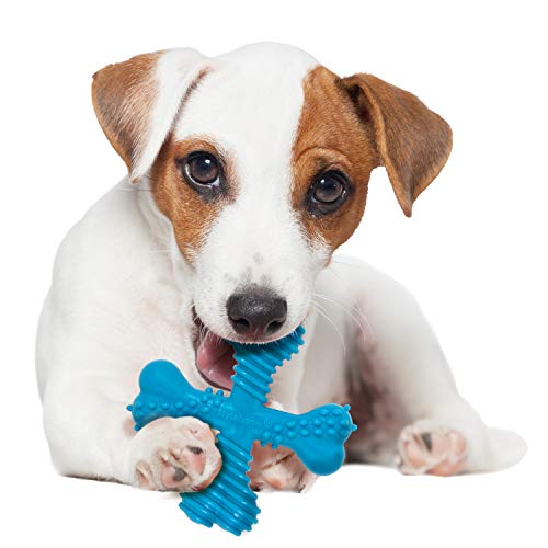 Nylabone Power Chew X-Shaped Dog Bone Chew Toy Bone Beef Small/Regular (1 Count)