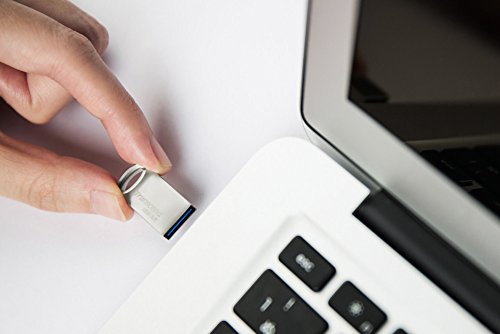 Transcend 64GB JetFlash 710 USB 3.1/3.0 Flash Drive (TS64GJF710S), Silver