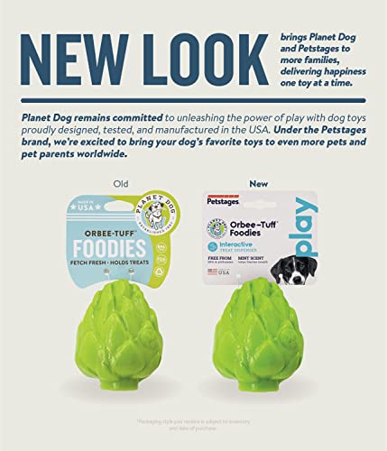 Planet Dog Orbee-Tuff Artichoke Treat-Dispensing Dog Chew Toy