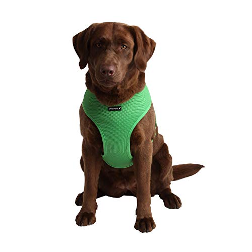 Puppia Soft Dog Harness No Choke Over-The-Head Triple Layered Breathable Mesh Adjustable Chest Belt and Quick-Release Buckle, Green, Large