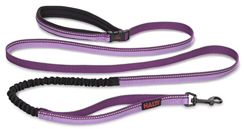 The Company of Animals - Halti All-In-One Lead (6' 6'), Large, Purple, Halti All-In-One-Leash Purple Large