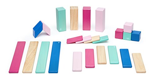 24 Piece Tegu Magnetic Wooden Block Set, Blossom, 1-99 years old