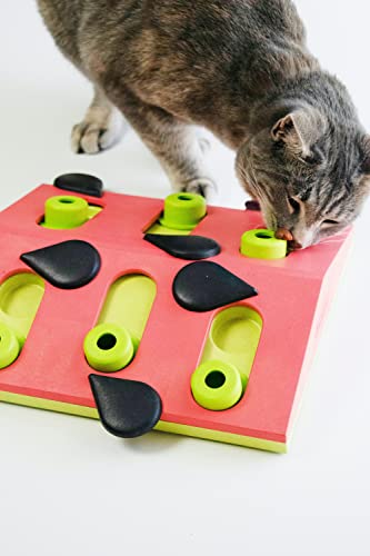 Petstages Nina Ottosson Melon Madness Puzzle and Play - Interactive Cat Treat Puzzle