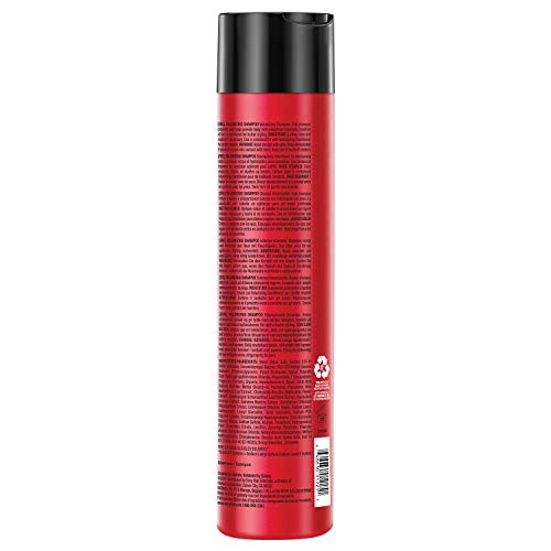 SexyHair Big Volumizing Shampoo, 10.1 Oz | Provides Moisture and Hydration | SLS and SLES Sulfate Free | All Hair Types