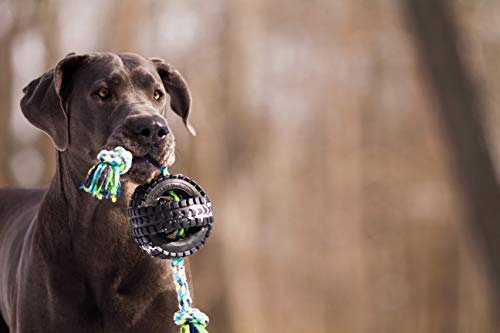 Pet Qwerks X-Tire Ball Dog Toys - Rope Interactive Chew Toy - Medium