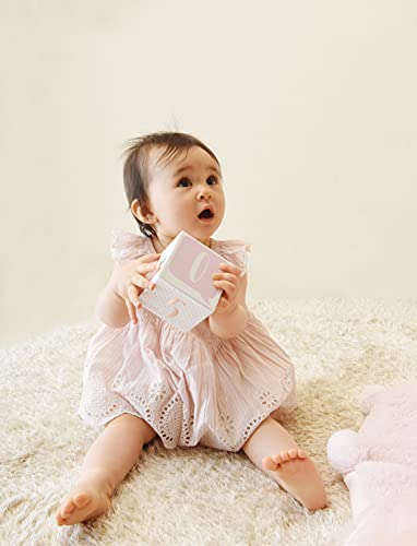 Baby Aspen My First Milestone Princess Age Blocks | Baby Picture Props for Photo Sharing The First Year
