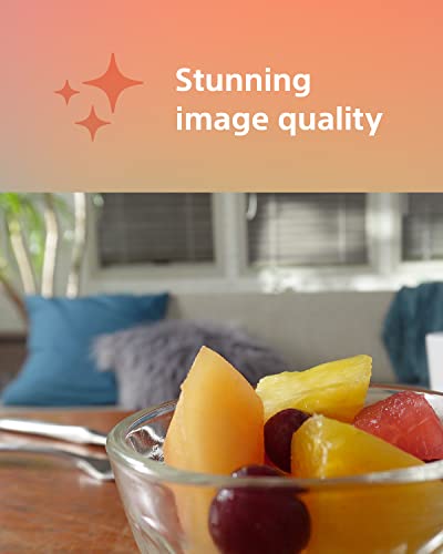 Sony ZV-1F Vlog Camera for Content Creators and Vloggers