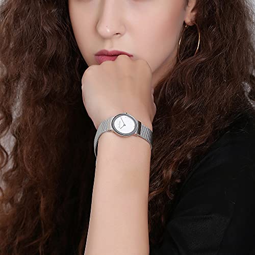 Skagen Women's Ancher Quartz Analog Stainless Steel and Mesh Watch, Color: Silver (Model: 358SSSD)