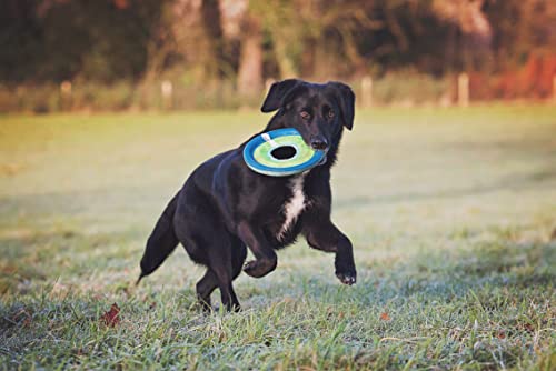 ChuckIt! Zipflight Flyer Dog Frisbee Toy Floats; Gentle On Dog's Teeth And Gums; Glow In The Dark Medium
