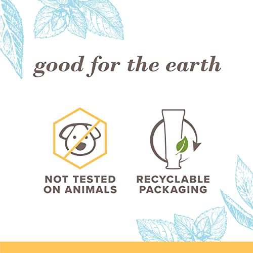 Burt’s Bees Extra White Toothpaste, Fluoride Toothpaste, Natural Flavor, Mountain Mint, 4.7 oz, Pack of 3