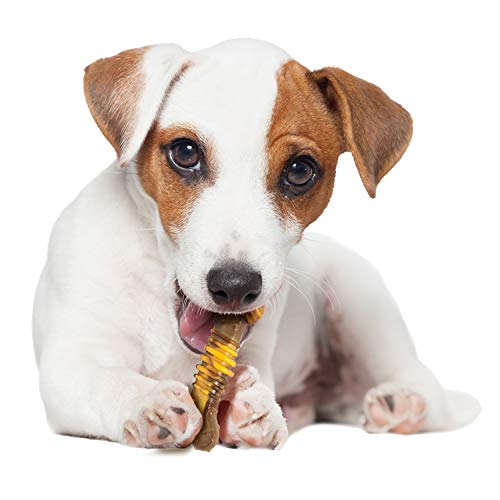 Nylabone Flavor Frenzy Power Chew Dog Toy Philly Cheesesteak Small/Regular (1 Count)