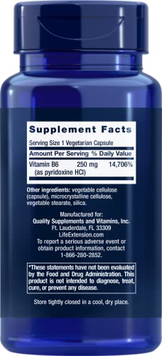 Life Extension Vitamin B6 250 mg – Glucose and Blood Sugar Supplement – For Cardiovascular and Neurological Health and Kidney and Eye Health - Gluten-Free, Non-GMO – 100 Vegetarian Capsules