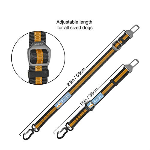 Kurgo Direct to seat belt Tether for Dogs, Car seat belt for Pets, Adjustable Dog Safety Belt Leash, Quick and Easy Installation, Works with Any Pet Harness, Carabiner, Swivel, Bungee, Zipline