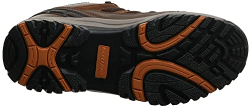 Skechers mens Relaxed Fit Relment - Semego Hiking Shoe, Dark Brown, 9 US