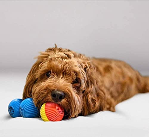 Pet Qwerks Talking Babble Ball - Interactive Chew Dog Toy - Small
