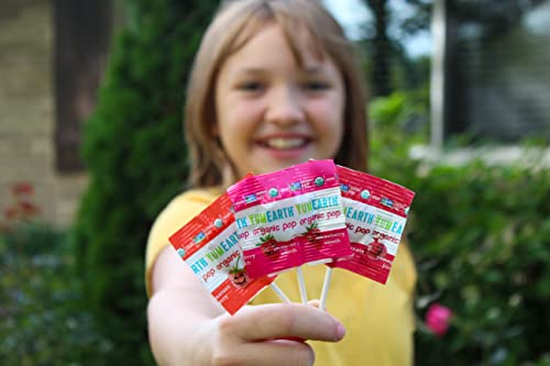 YumEarth Organic Pops Variety Pack, 40 Fruit Flavored Favorites Lollipops, Allergy Friendly, Gluten Free, Non-GMO, Vegan, No Artificial Flavors or Dyes