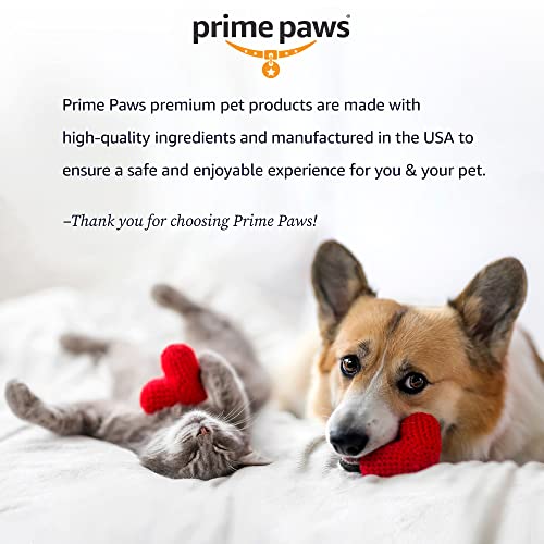 Prime Paws Ear Cleansing Solution for Dogs and Cats - Pet Ear Cleaner Removes Odor and Wax - Deodorizing Dog Ear Cleaner Solution with Aloe and Vitamins - Sweet Pea and Vanilla Scent - 8 oz