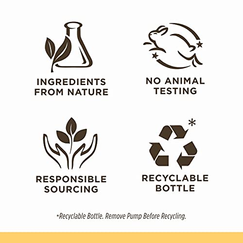 Burt's Bees Baby Shampoo and Wash, Tear Free Soap, Natural Baby Care, Original,12 Ounce (Pack of 3)