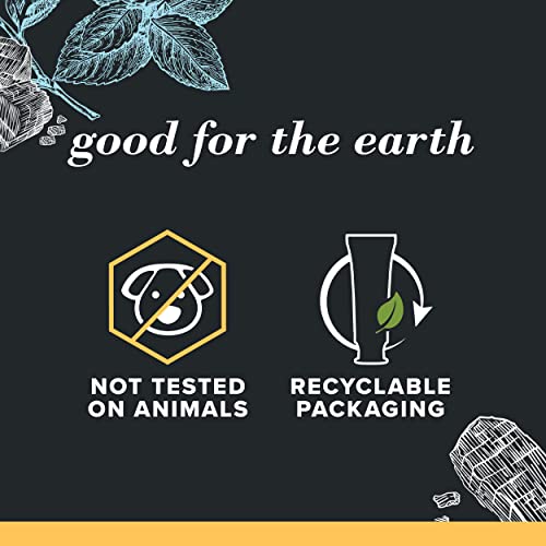 Burt’s Bees Toothpaste, Natural Flavor, Charcoal with Fluoride Toothpaste, Mountain Mint, 3 x 4.7oz