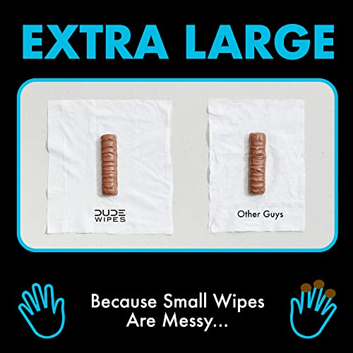 DUDE Wipes Flushable Wipes - 6 Pack, 288 Wipes - Unscented Wet Wipes with Vitamin-E and Aloe for at-Home Use - Septic and Sewer Safe