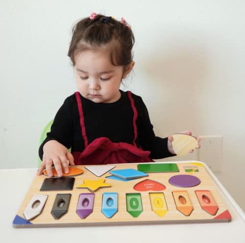 The Learning Journey: Lift and Learn Puzzle Colors and Shapes Preschool Toys and Activities for Children Ages 3 and Up Award Winning Educational Toy